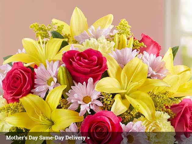 800 flowers same day delivery Same Day Flower Delivery - Satisfaction Commitment. Five Star Rated Shopper Approved See Our Ratings & Awards! Order & Delivery Status Sign In Cart. Menu. Excellent much better than Flowers. Many of the blooms were just beginning to open so that the bouquet will last a long time. I also like that you do follow-up. Thank you.
