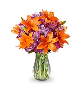 1800Flowers Coupon Codes Looking for a good Flowers Free Shipping/No Service Charge promo code to use on our site? For a limited time Get Free* Shipping/No Service Charge on select products when you use. Promotion Code COMPSHIP at checkout (a $ value.).