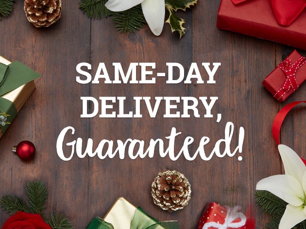 Christmas Same-Day Delivery