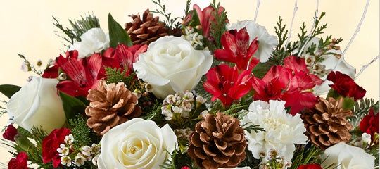 Shop Christmas Flowers