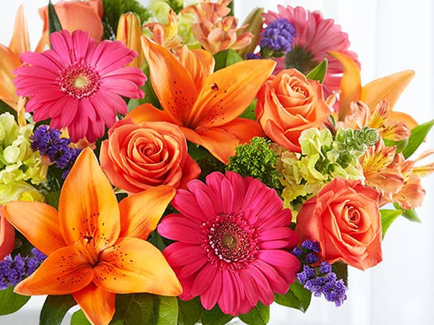 Flowers | Flower Delivery | Fresh Flowers Online | 1-800 ...