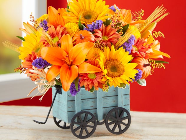 Fall Flowers & Gifts