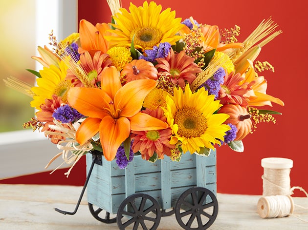 Fall Flowers & Gifts