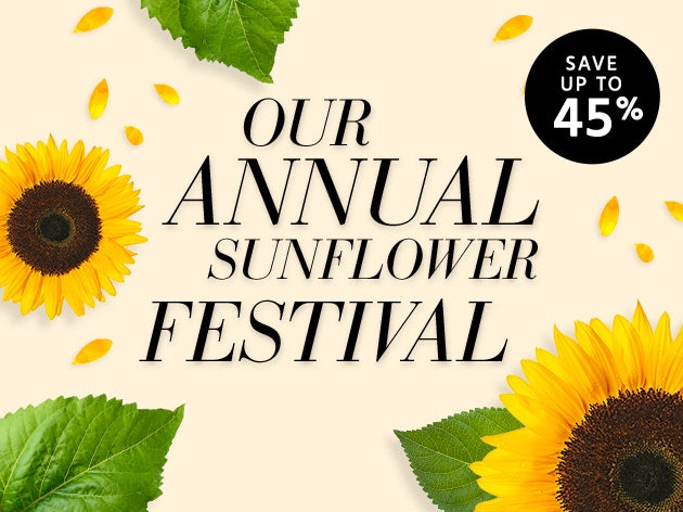 Sunflower Festival