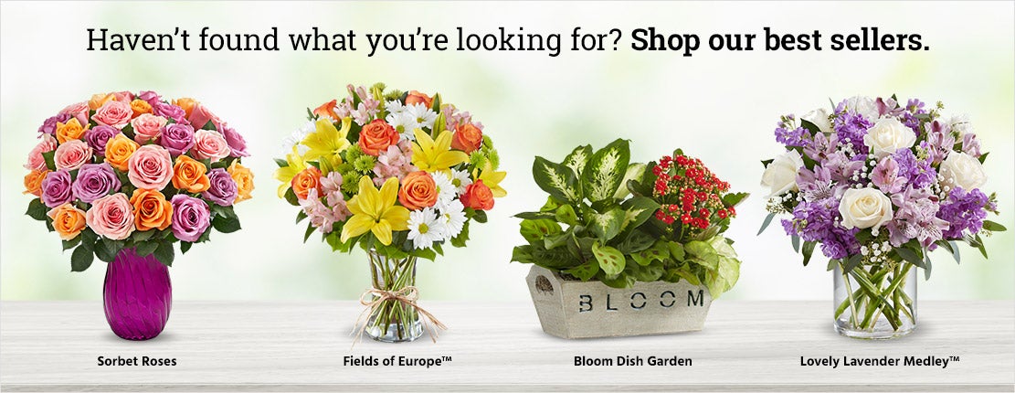 Product Bottom Banner