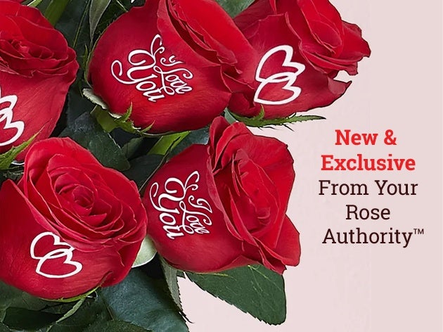 Valentine's Roses
