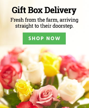 Gift Box Delivery