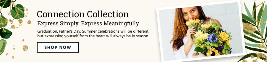 Connection Collection