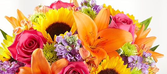 Shop Birthday Flowers