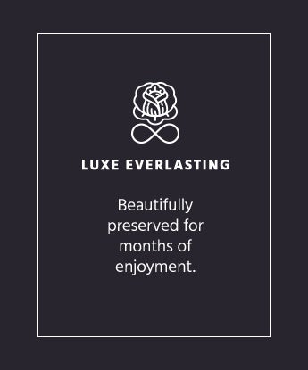 Luxe Everlasting