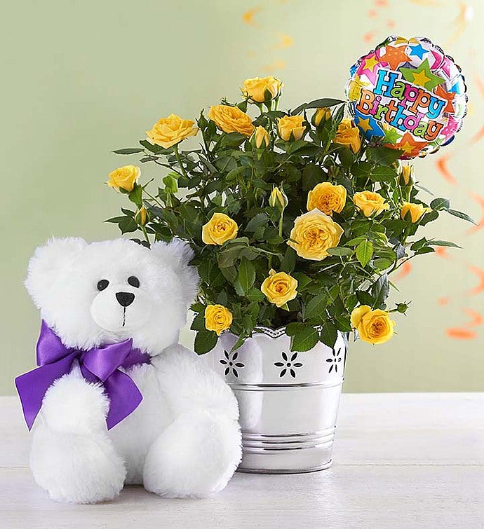 Happy Birthday Bundle