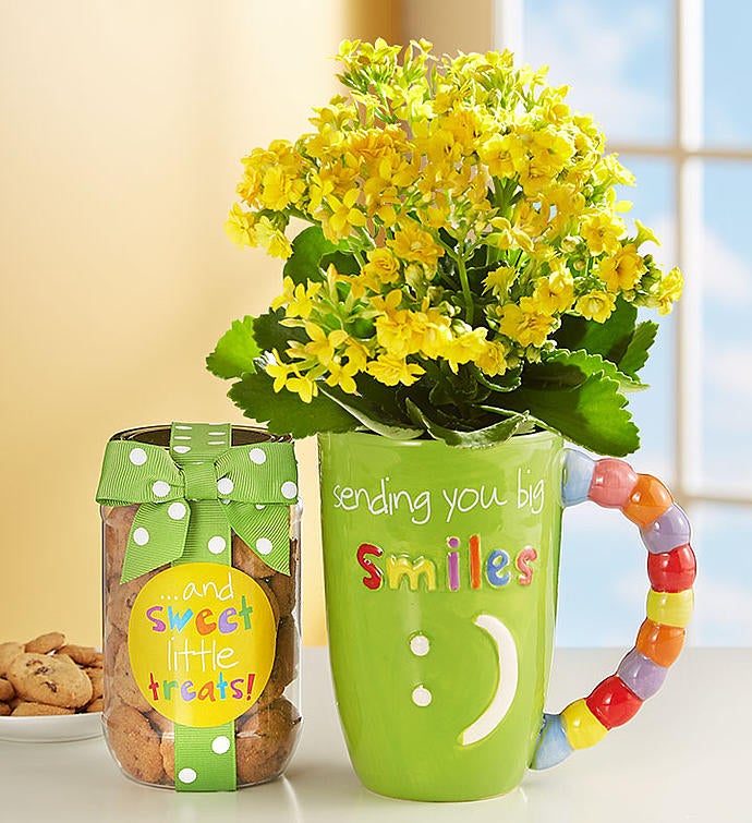 Mugable® Full of Blooms Plant