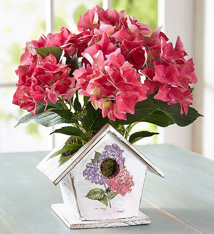 Bird House of Blooms®