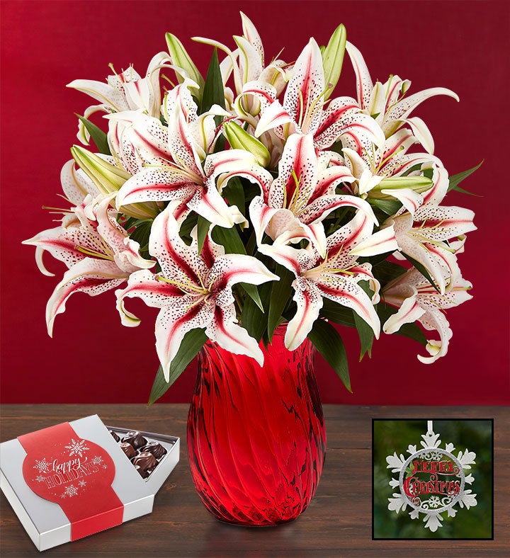 Candy Cane Lilies