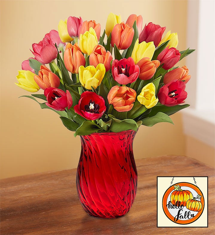 Assorted Fall Tulips