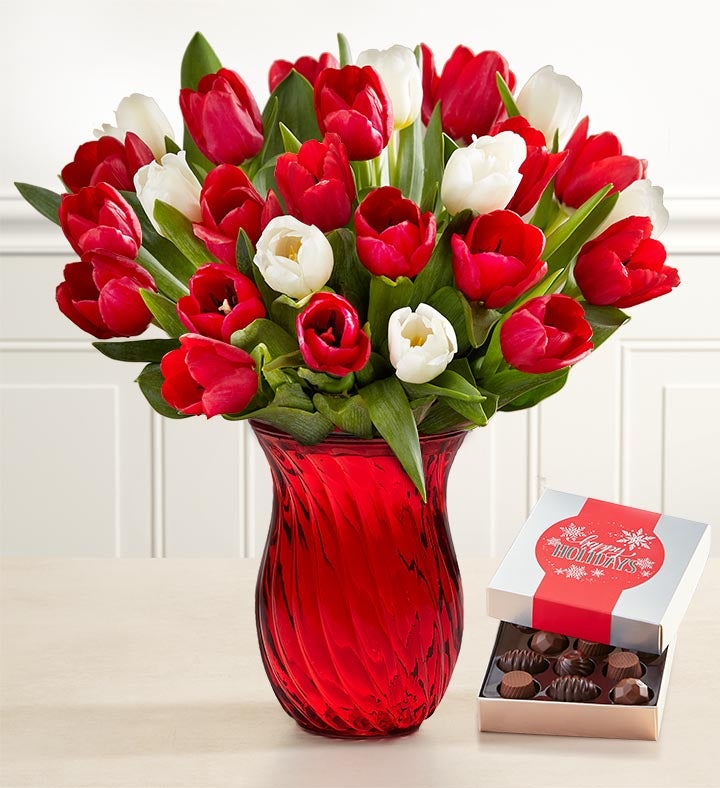 Holiday Tulips