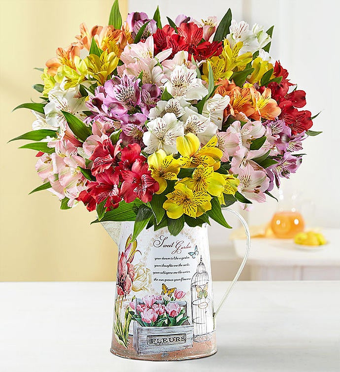 Peruvian Lilies