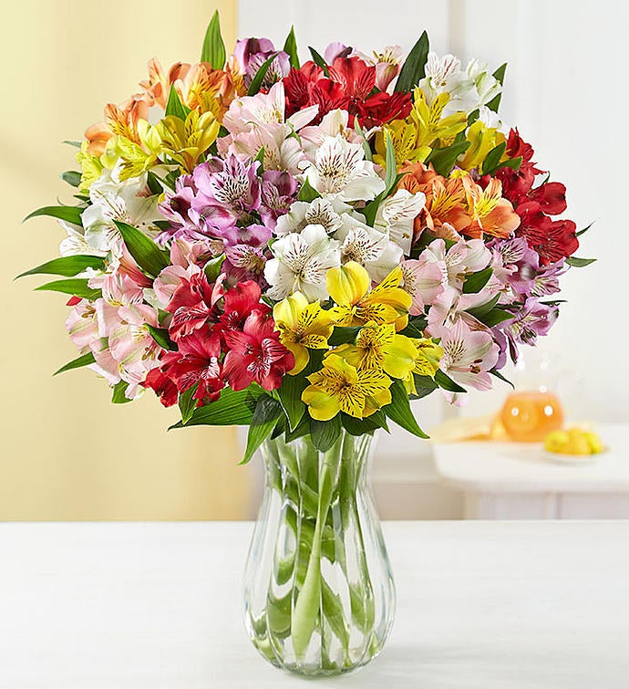 Peruvian Lilies + Free Vase