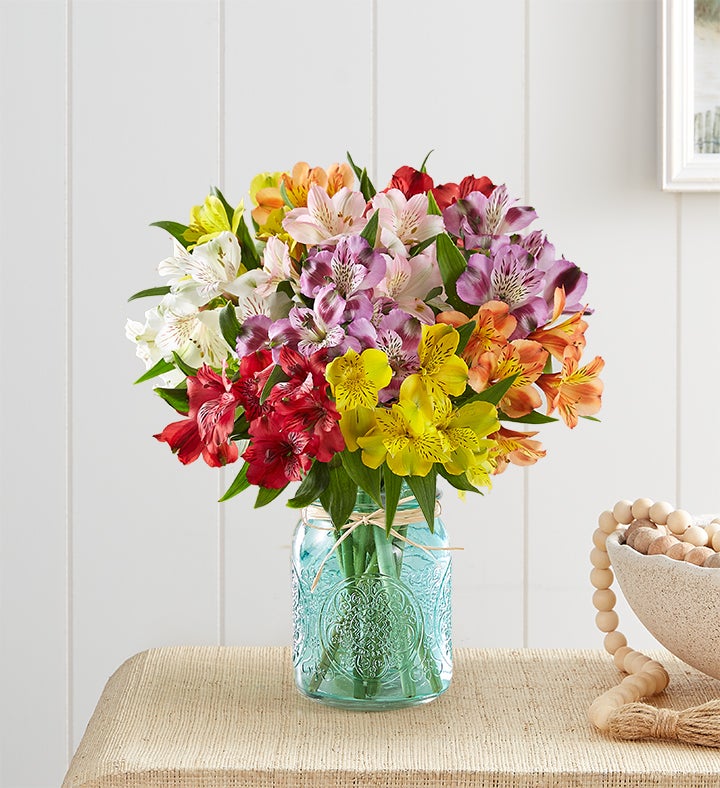 Peruvian Lilies