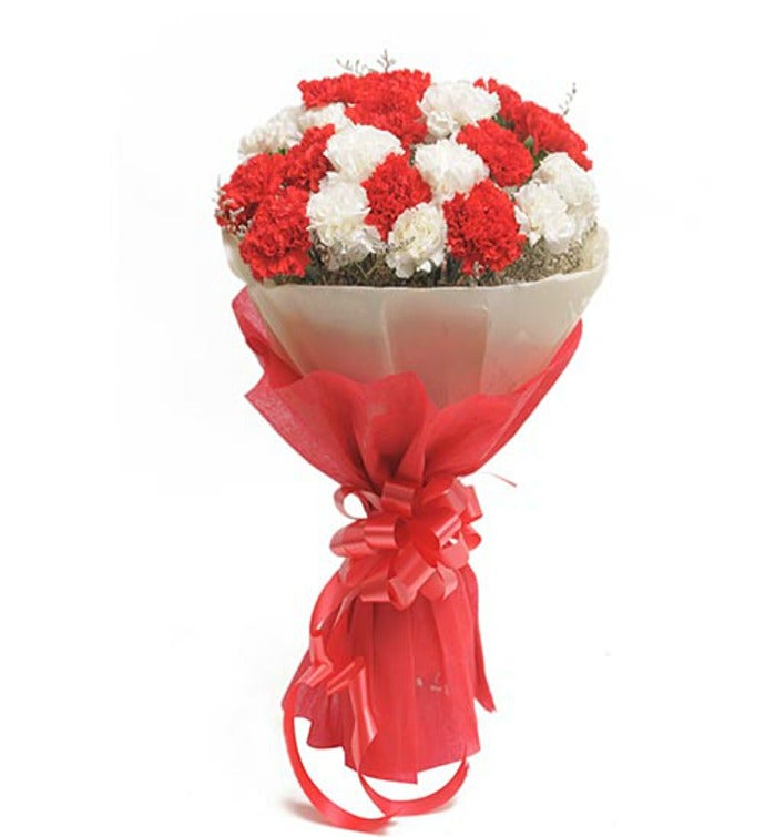 Red and White Carnations Bouquet