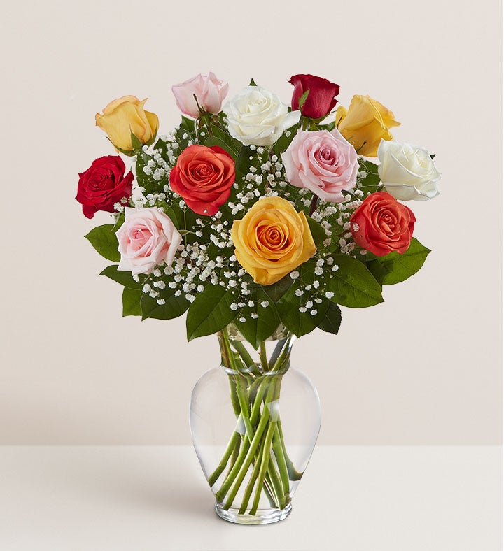 Rose Elegance™ Premium Long Stem Assorted Roses
