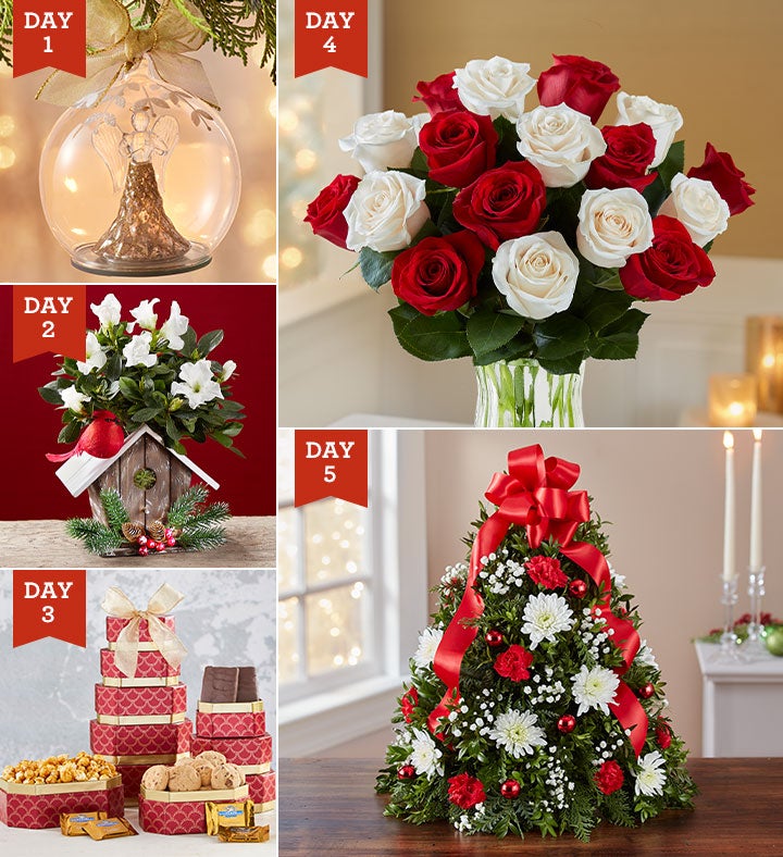 Christmas Multi-Day Gifting