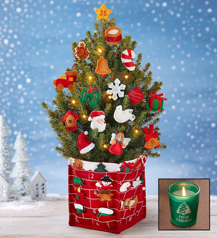 Countdown to Christmas Tree