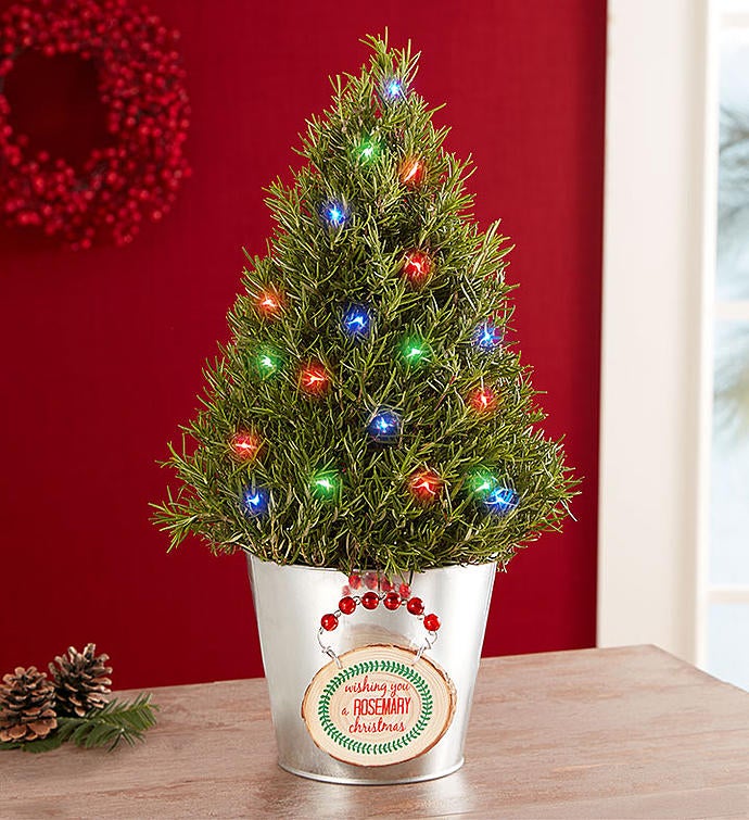 Wishing You a Rosemary Christmas