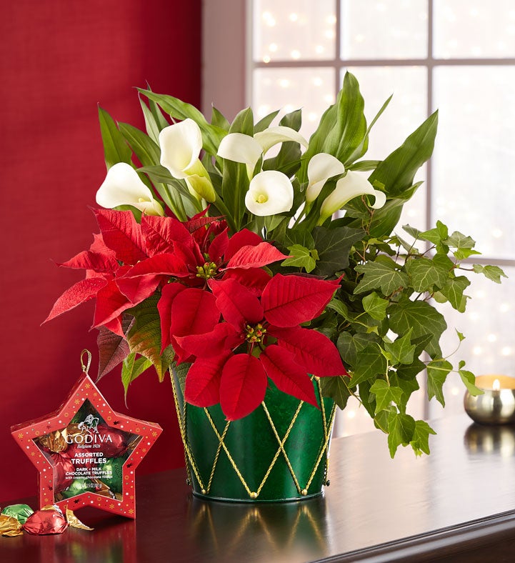 Holiday Delights Garden Trio