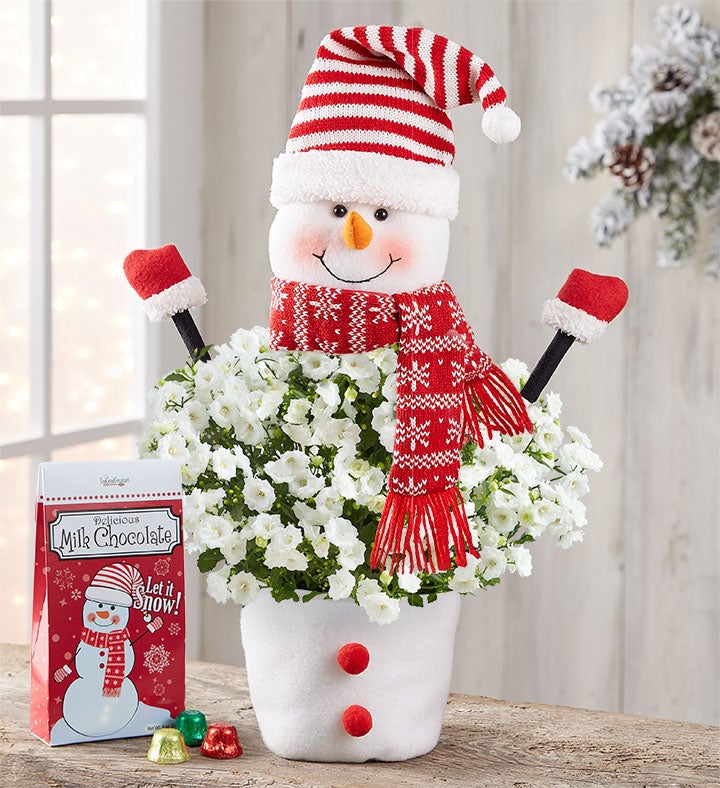 Frosty The Snow Plant 