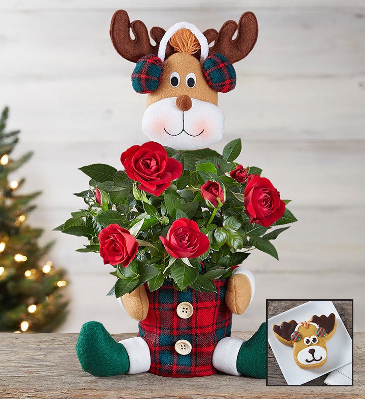 Red Rose Reindeer