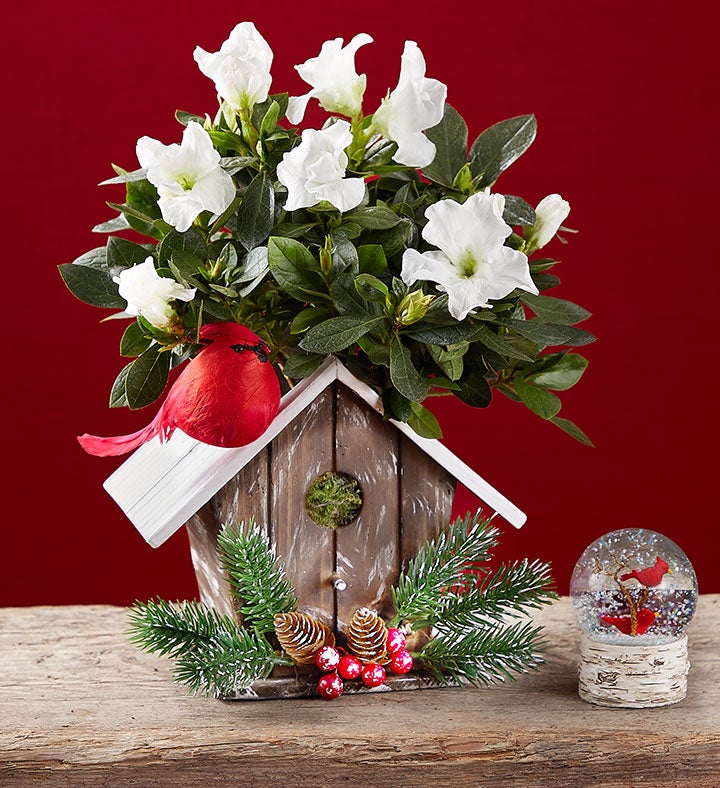 Christmas Birdhouse Of Blooms ®