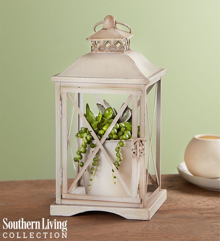 Rustic Lantern Succulents