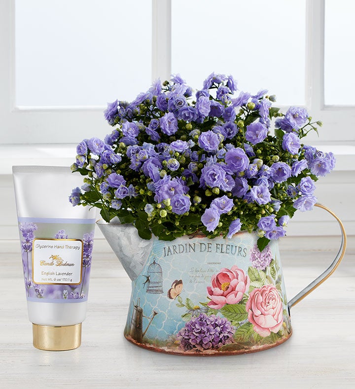 Spring Blooms Pitcher