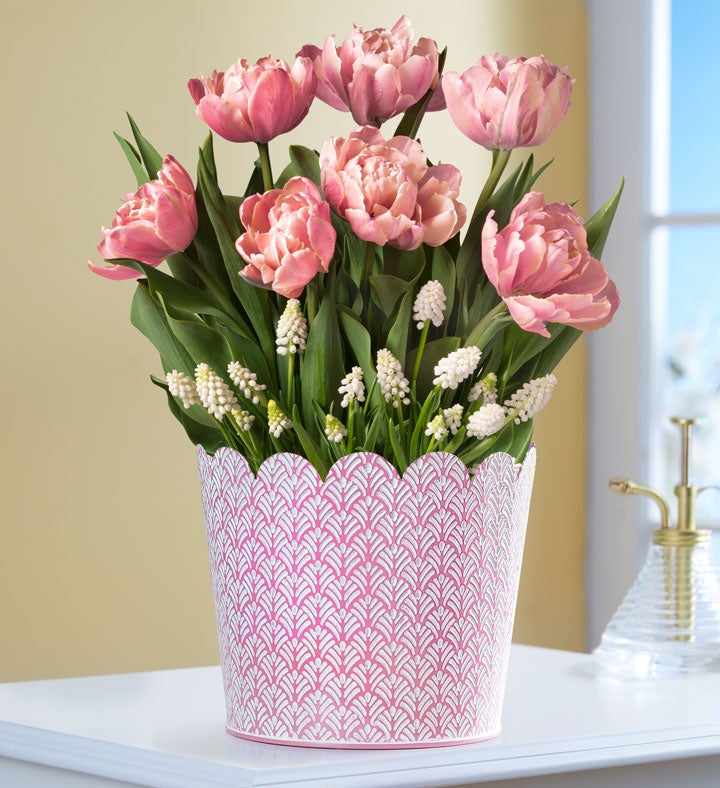 Simply Charming Bulbs