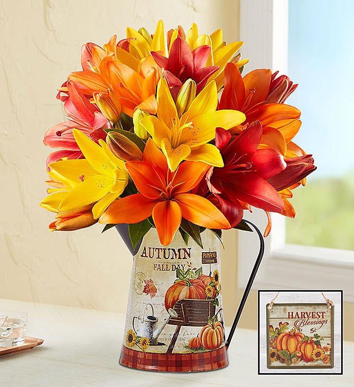Harvest Spice™ Lilies