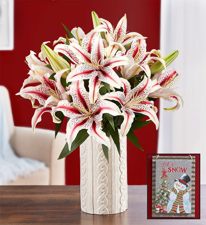 Winter Wonder Lilies