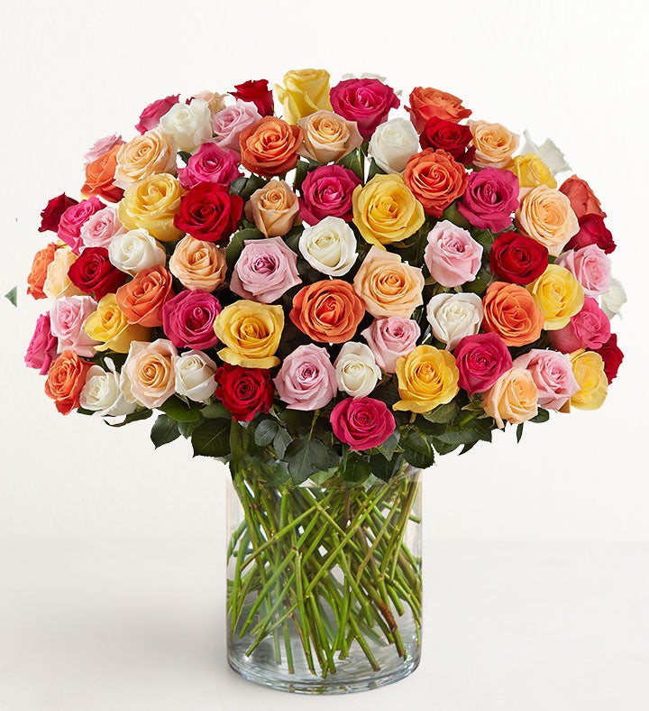 100 Premium Long Stem Multicolored Roses
