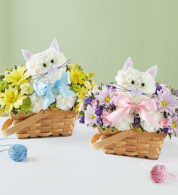 Fabulous Feline™ Boy or Girl