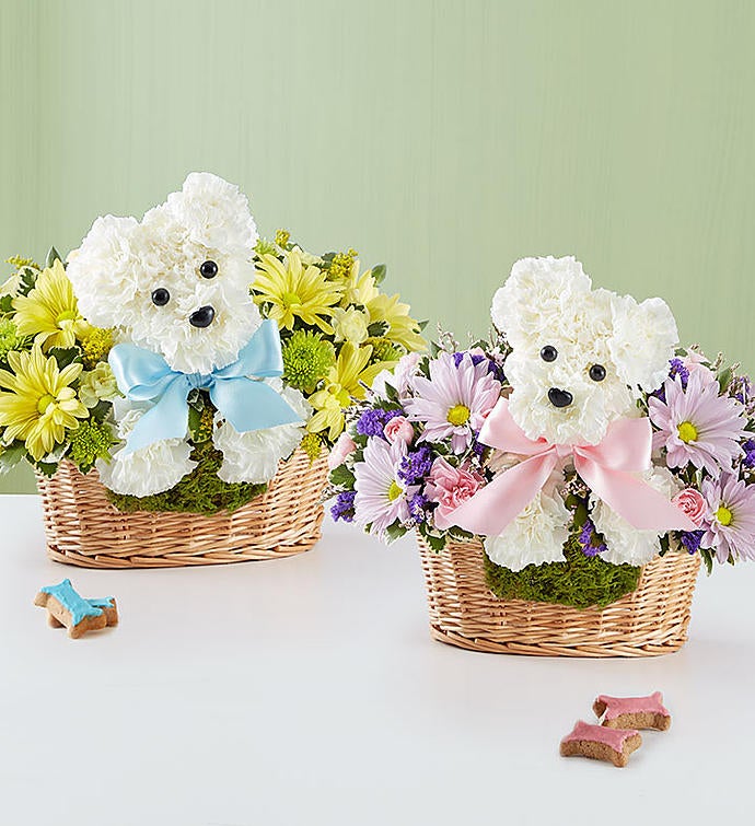 It’s a-DOG-able® Boy or Girl