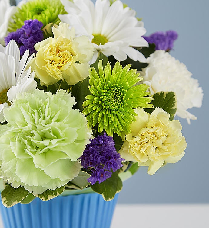 1800flowers Free Shipping >> Lotsa Love® Welcome Baby Boy | 1800Flowers.com - 166362 1800flowers Free Shipping >> Lotsa Love® Welcome Baby Boy | 1800Flowers.com - 166362