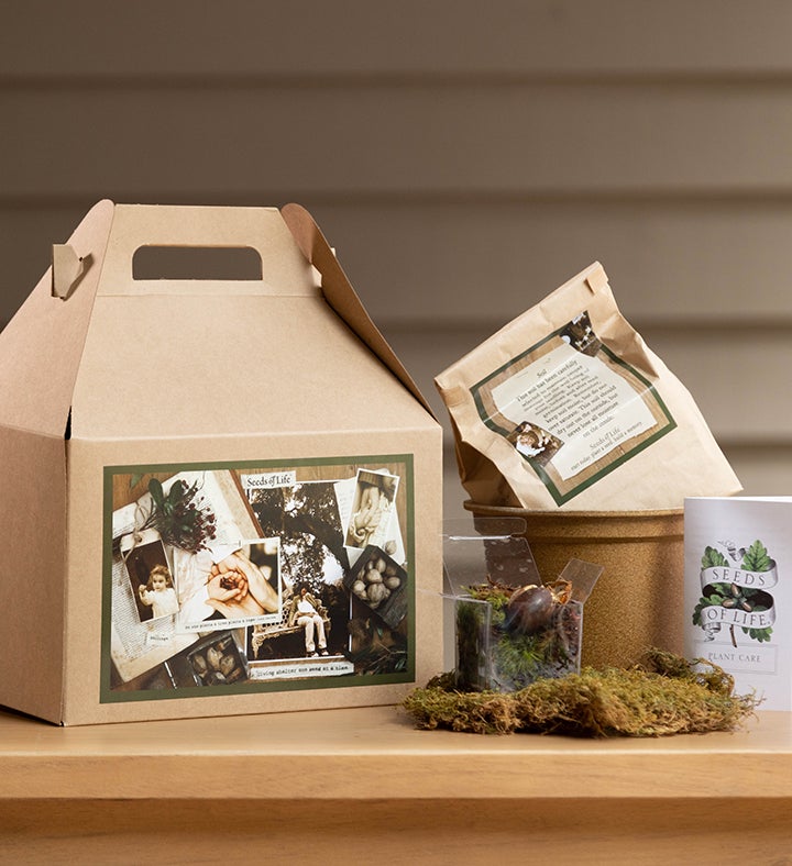 Seeds of Life™ Tree Kit for Sympathy