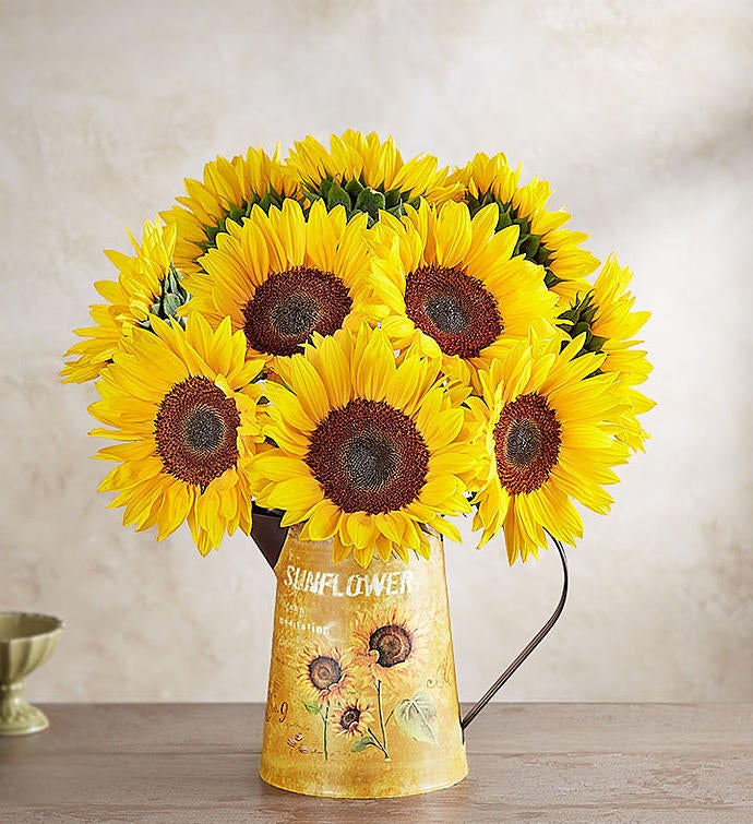 Sunflowers