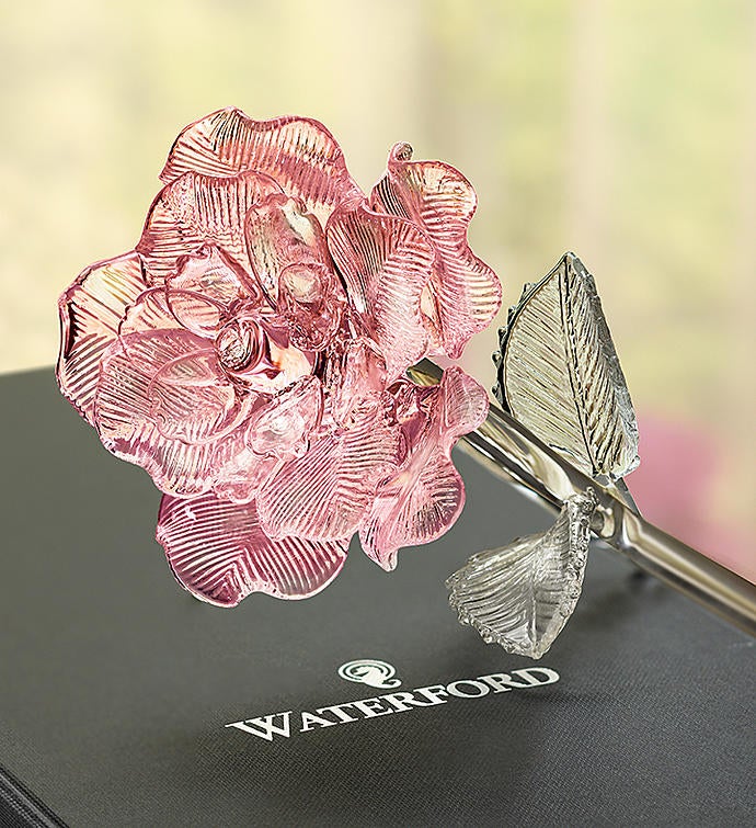 Waterford® Crystal Rose