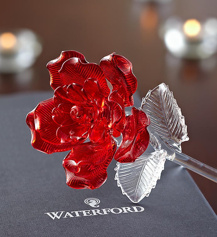 Waterford® Crystal Rose
